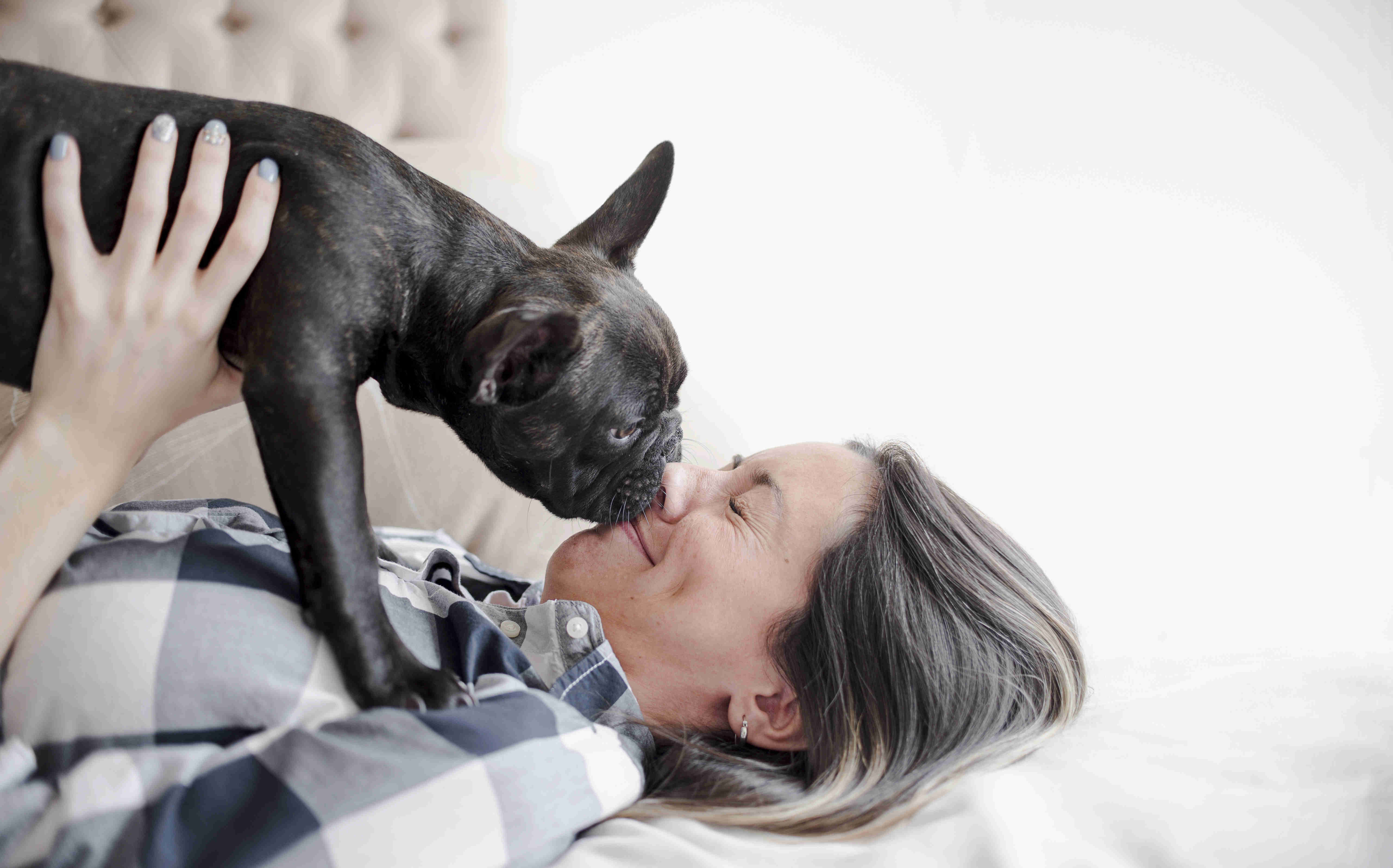 French Bulldog Puppies and Swimming: Precautions to Keep Them Safe Around Water